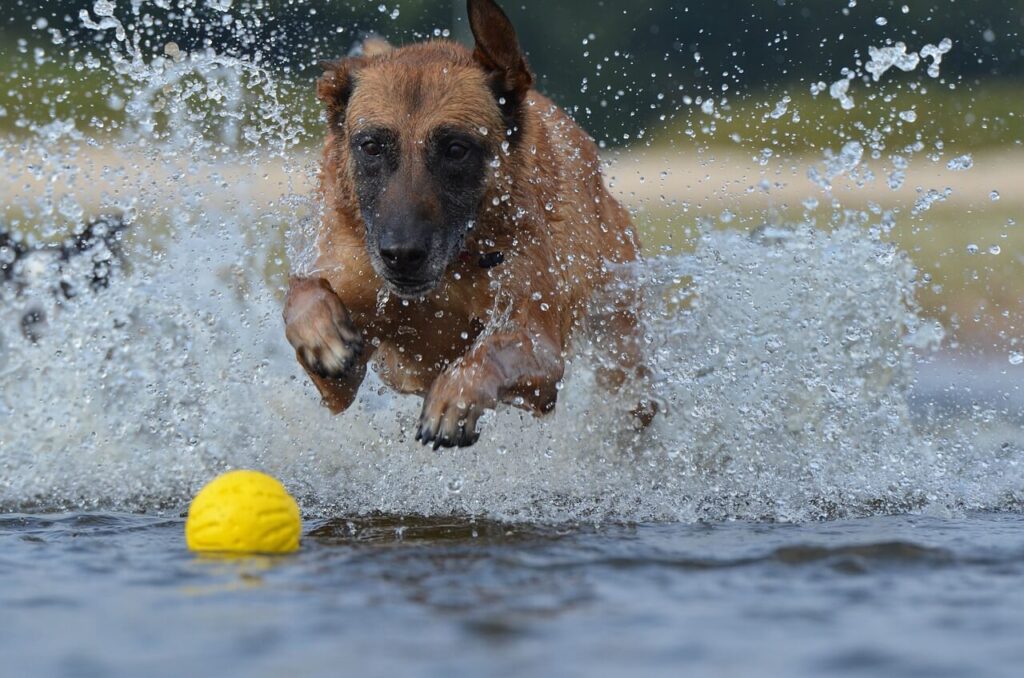 малінуа ловить м 'яч у воді
