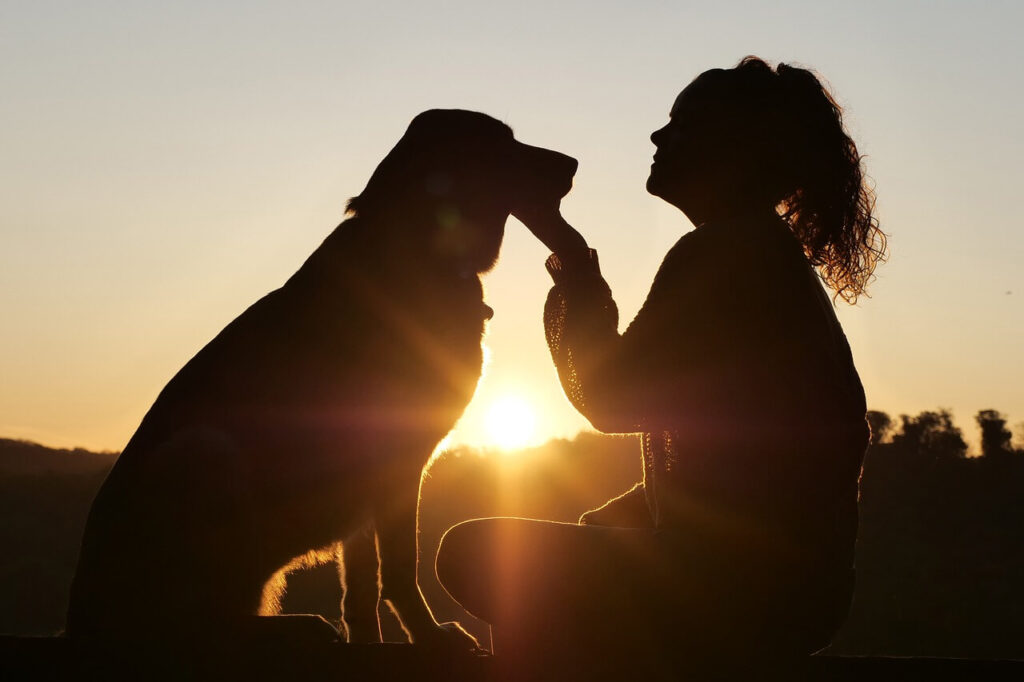 дівчина та собака на заході сонця